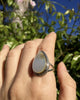 Mother of Pearl Sea Ring