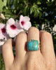 Silver & Turquoise Grateful Ring