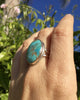 Turquoise Symbiosis Ring