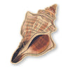 Seashell - Ocean Bamboo Wood Sticker
