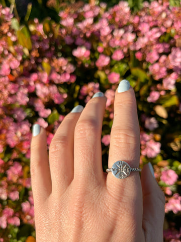 Silver Mother of Pearl Turtle Ring