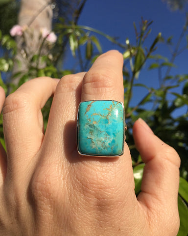 Silver & Turquoise Grateful Ring